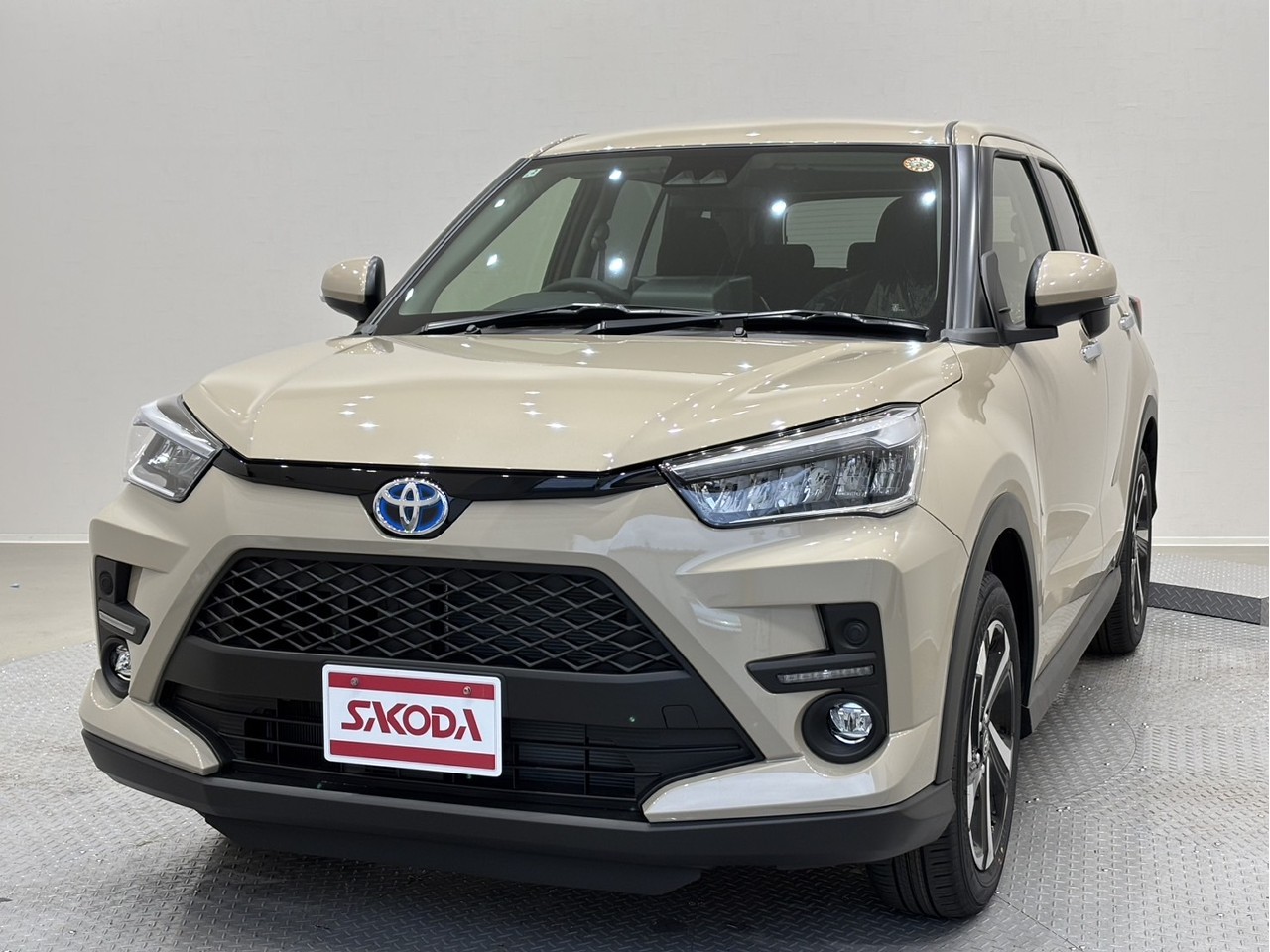 ﾗｲｽﾞ　HYBRID Z