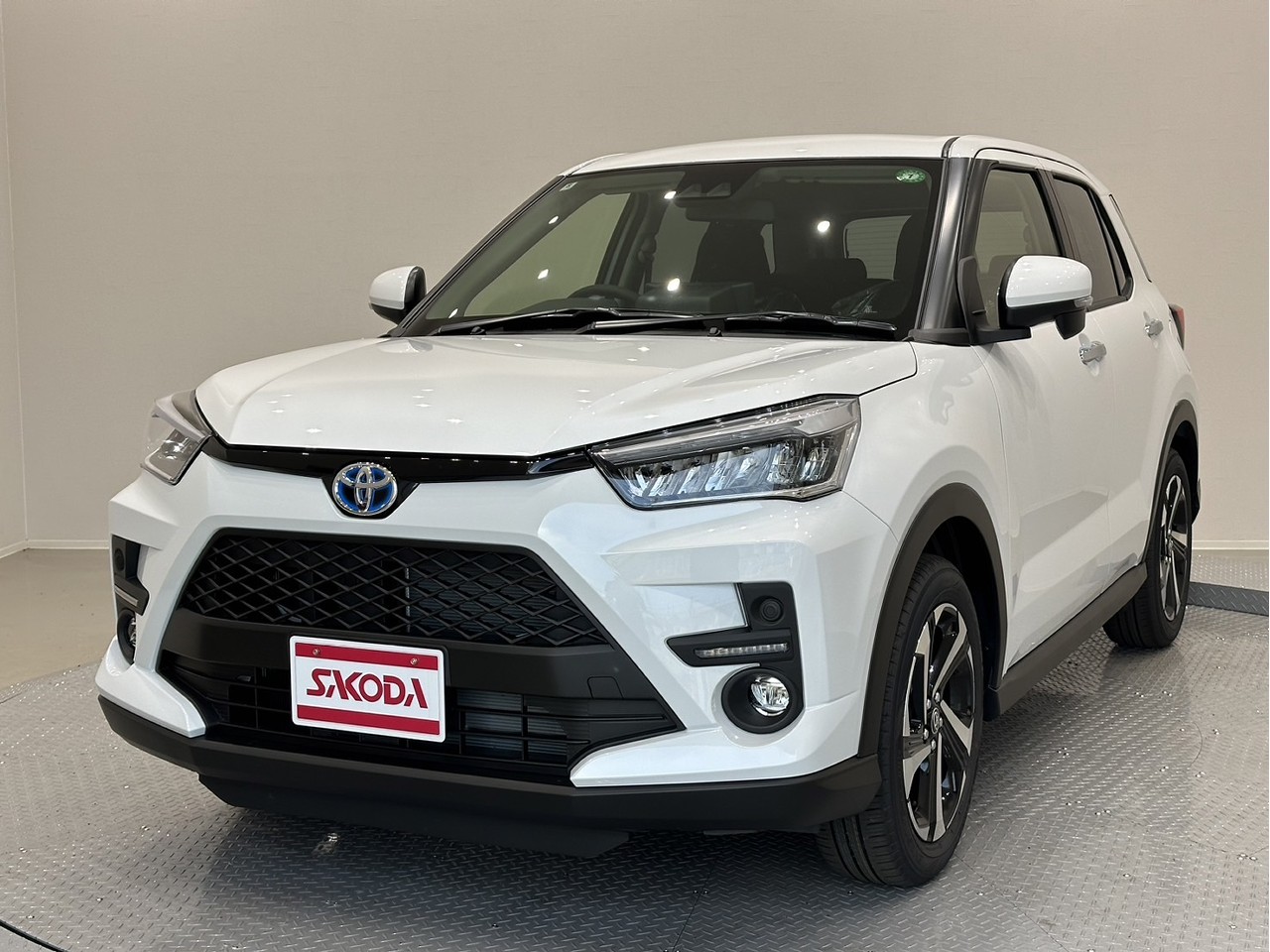 ﾗｲｽﾞ　HYBRID Z