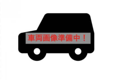 ﾙｰｸｽ ﾊｲｳｪｲｽﾀｰ　X 寒冷地仕様