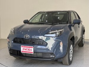 ﾔﾘｽｸﾛｽ　HYBRID X