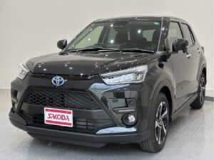 ﾗｲｽﾞ　HYBRID Z